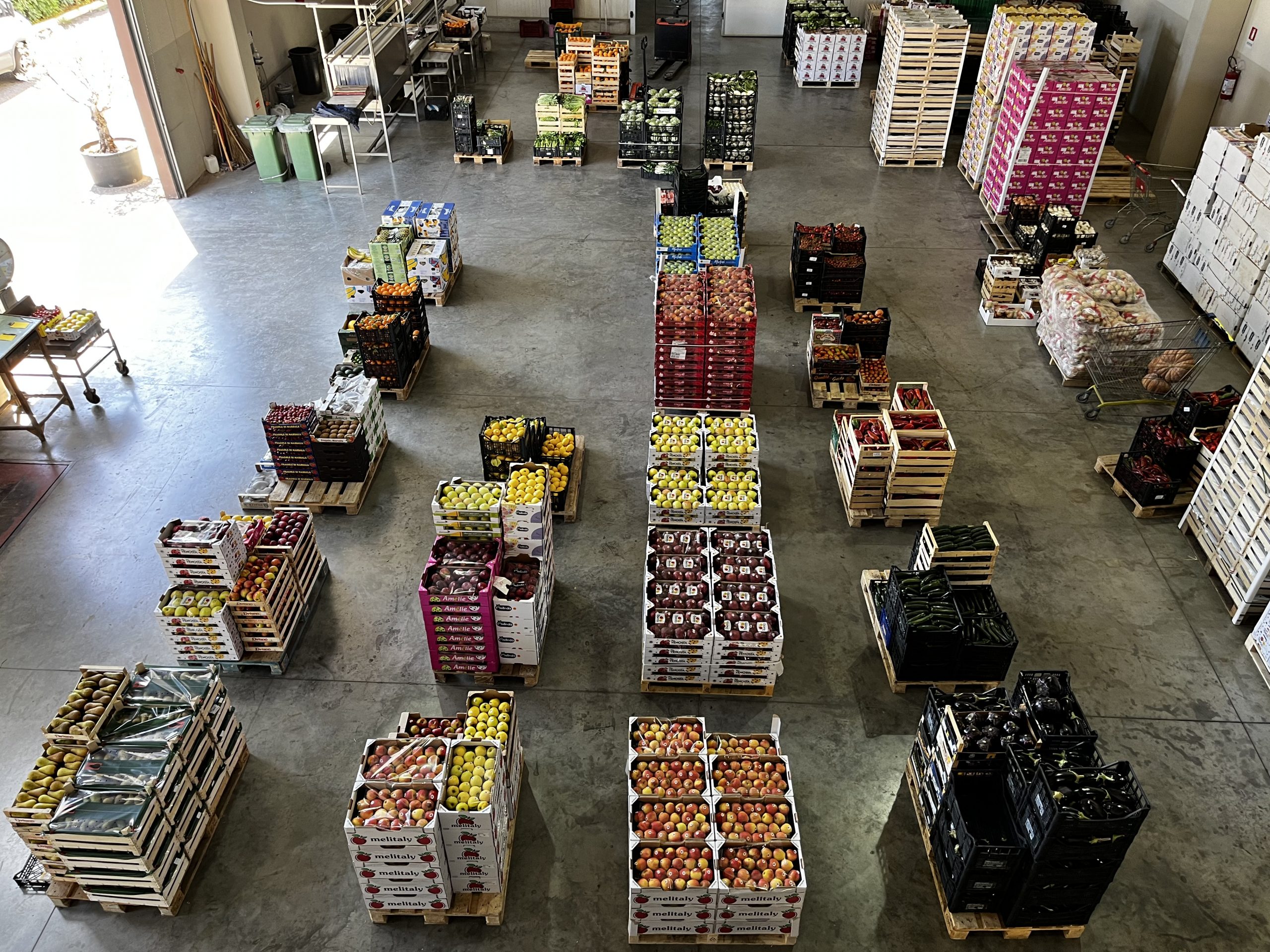 Ingrosso frutta e verdura floridia