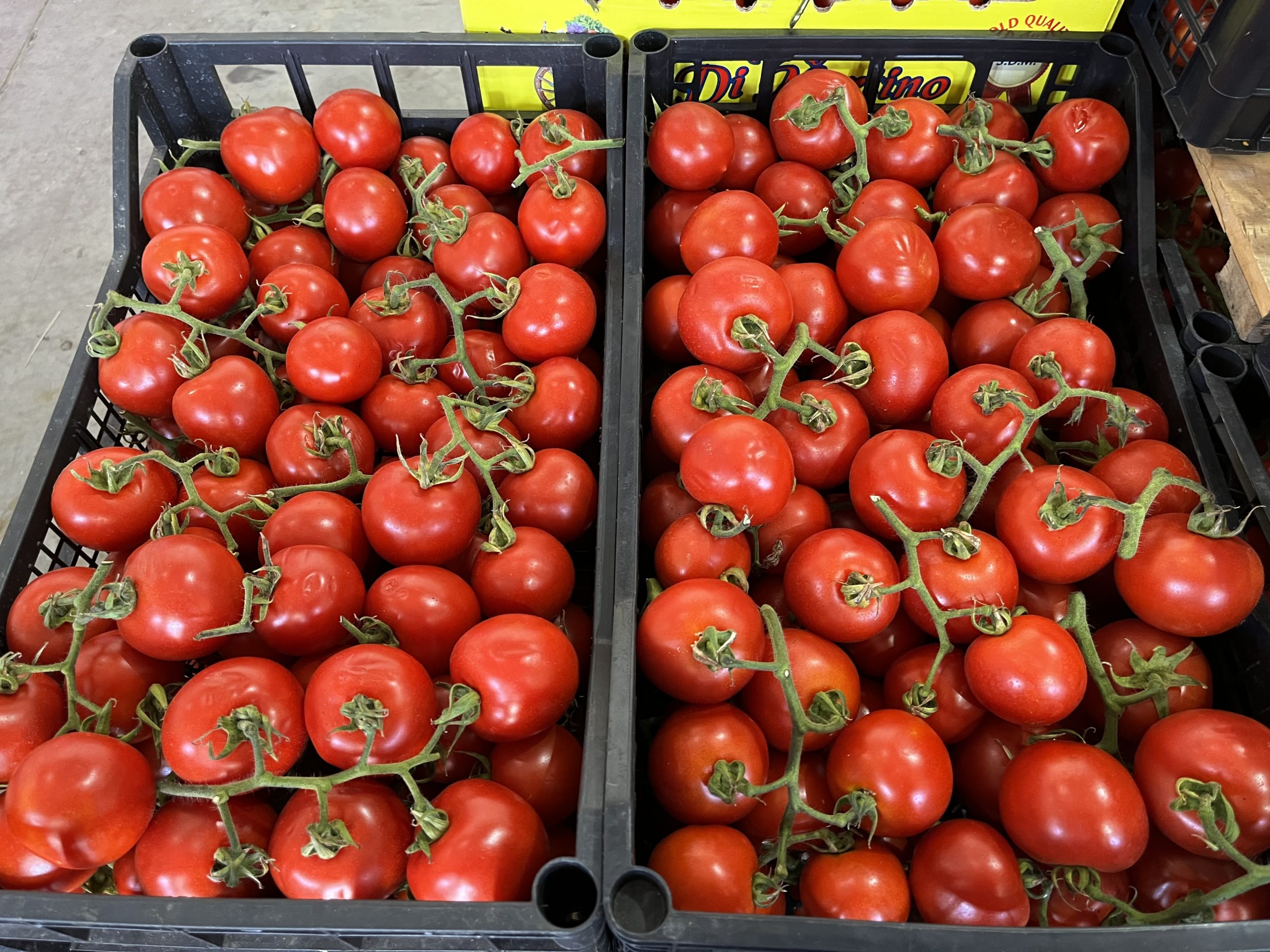 Ingrosso frutta e verdura siracusa